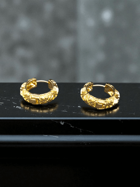 Sunmark Loop 22k Gold Plated Budget Friendly Simple and Elegant Western Earring