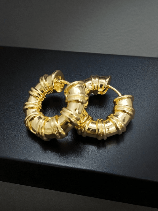 Golden Coil 22k Gold Plated Budget Friendly Simple and Elegant Western Earring