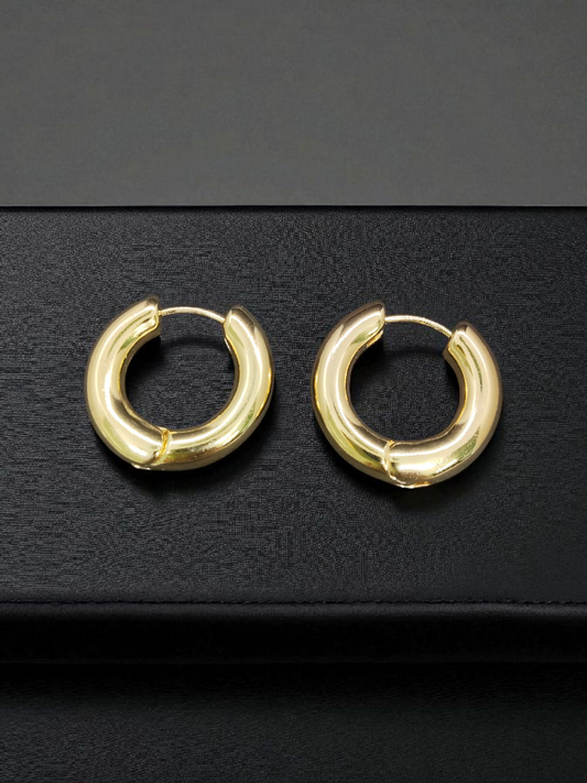 Golden Hug 18k Gold Plated Budget Friendly Simple and Stylish Western Earring
