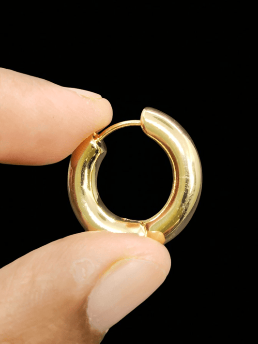 Golden Hug 18k Gold Plated Budget Friendly Simple and Stylish Western Earring