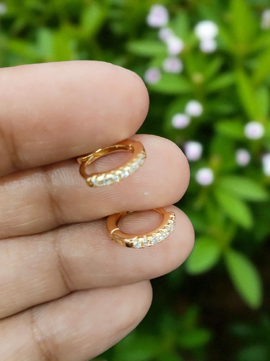 Auric Ray Premium Quality Small Sized Elegant AD Stoned Western Hoop Earring
