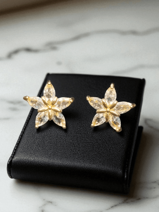Eterna Flora Premium Quality Star Shaped Budget Friendly Stoned Trendy and Stylish Statement Earring